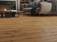 TIMBER LAND