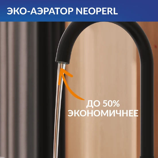 Смеситель для кухни ELIO черный