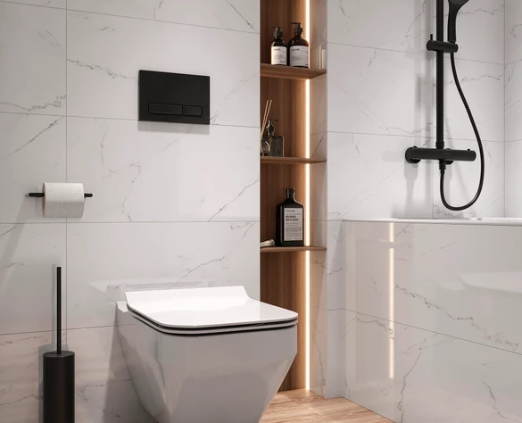 CARINA