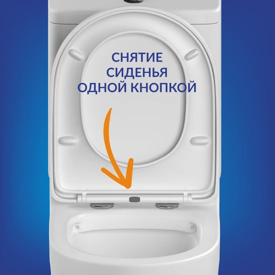 Чаша от компакта для маломобильных групп населения с сиденьем 011 DPL EO