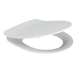 Сиденье для унитаза DELFI DPL EO slim
