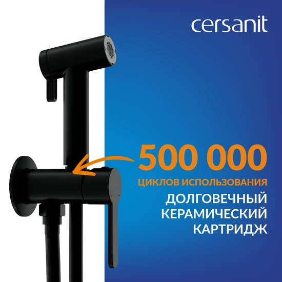 Смеситель с гигиеническим душем OLIVA черный