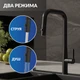 Смеситель для кухни OLIVA с п-образным выдвижным изливом шланг черный