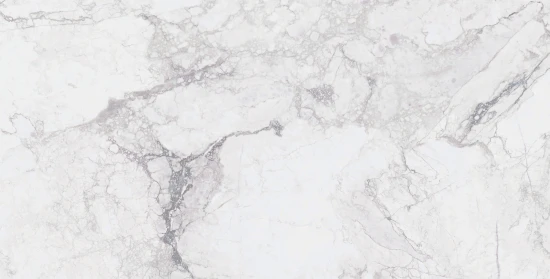 Керамогранит Cersanit Tempo светло-серый ректификат 44,8x89,8 A18171