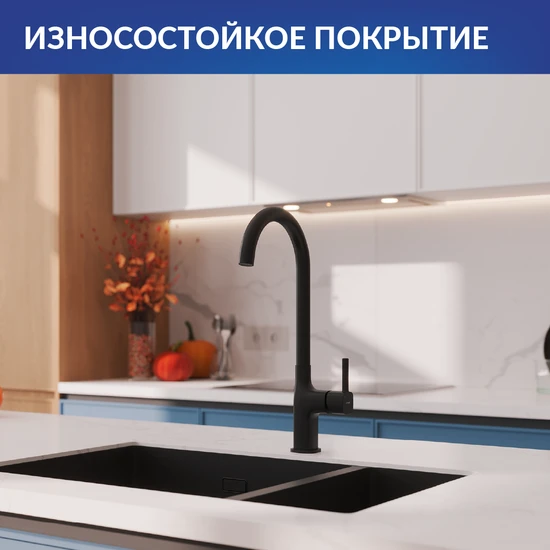 Смеситель для кухни ELIO черный