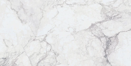 Керамогранит Cersanit Tempo светло-серый ректификат 44,8x89,8 A18171