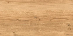 Керамогранит Cersanit Woodhouse коричневый рельеф 29,7x59,8 WS4O112