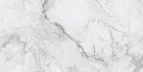 Керамогранит Cersanit Tempo светло-серый ректификат 44,8x89,8 A18171
