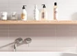 AVANGARDE