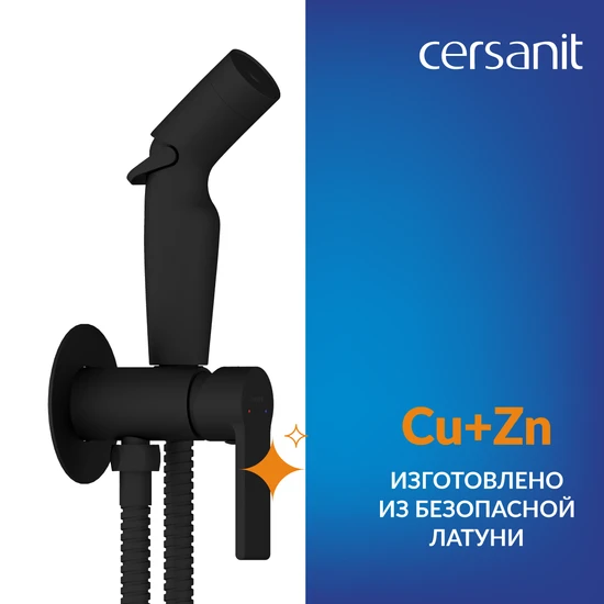 Смеситель с гигиеническим душем BRASKO BLACK