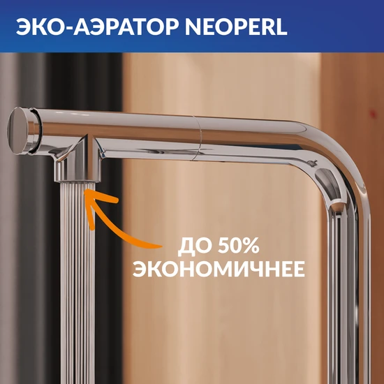 Смеситель для кухни FLAVIS с выдвижным изливом два режима хром