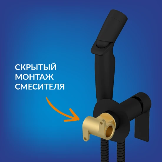 Смеситель с гигиеническим душем BRASKO BLACK