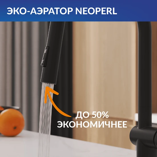 Смеситель для кухни BRASKO с выдвижным изливом черный