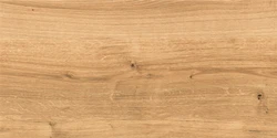 Керамогранит Cersanit Woodhouse коричневый рельеф 29,7x59,8 WS4O112