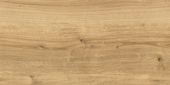 Керамогранит Cersanit Woodhouse коричневый рельеф 29,7x59,8 WS4O112
